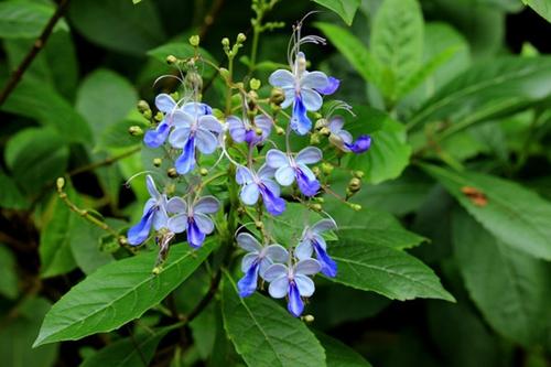 垃圾分類推動下一個行業藍海【91免费看毛片垃圾處理】