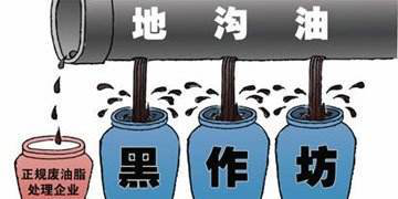 91免费视频下载垃圾高值安全利用！你知道了嘛？
