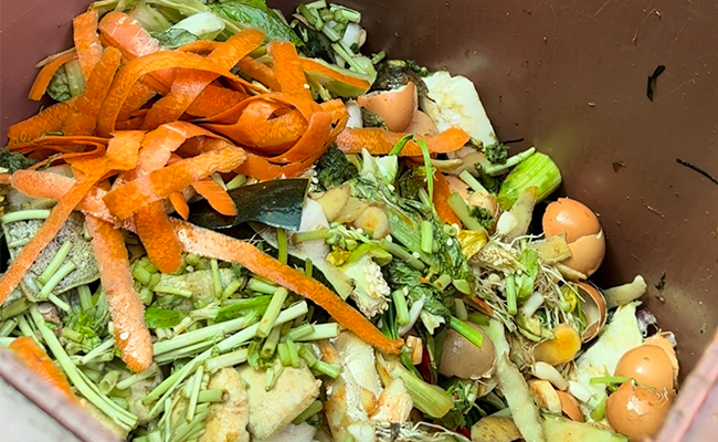 91免费看毛片垃圾減量化資源化處理