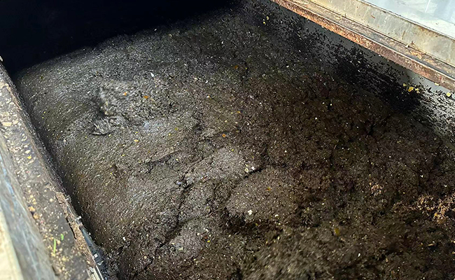 91免费视频下载垃圾處理的油脂都幹什麽用？